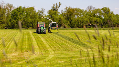 Ein Traktor mäht Gras zur Tierfutterproduktion