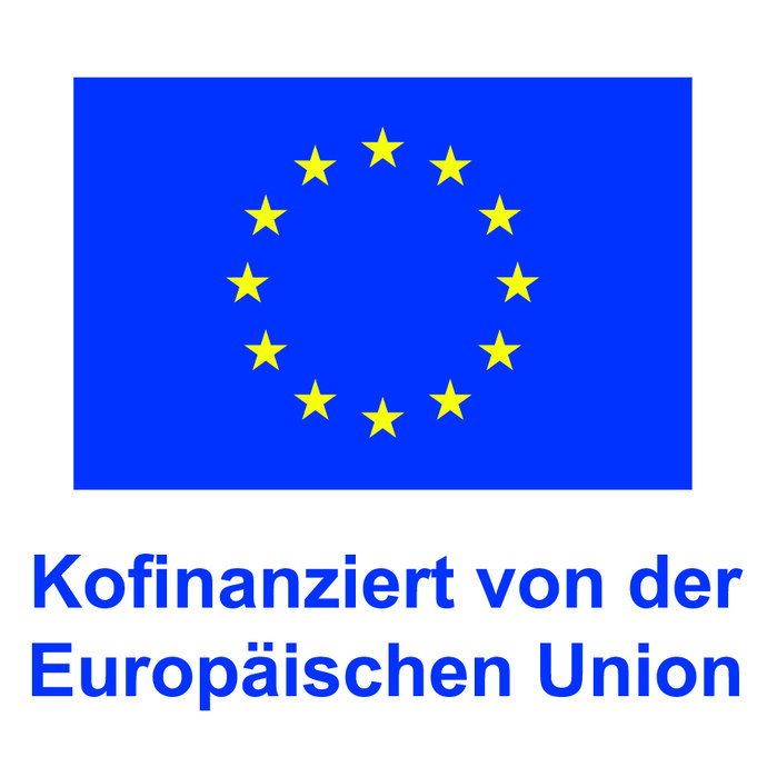 EU-Logo: Kofinanziert von der Europäischen Union