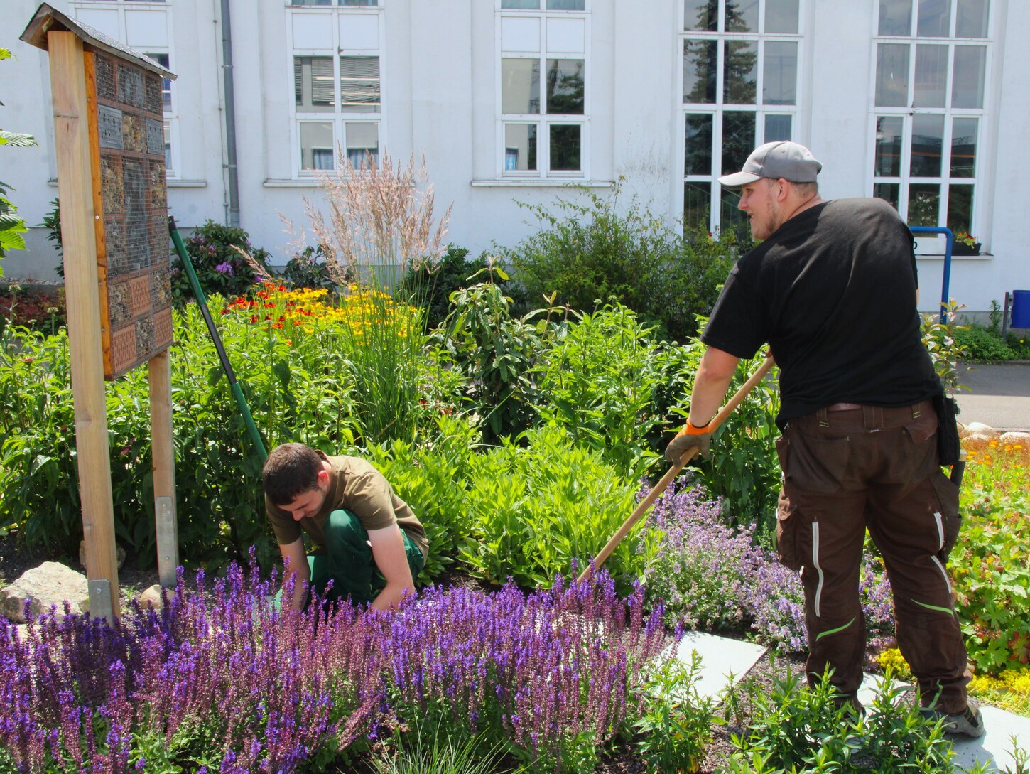 Zwei Personen in Arbeitskleidung bei der Pflege von einem Gartenbeet